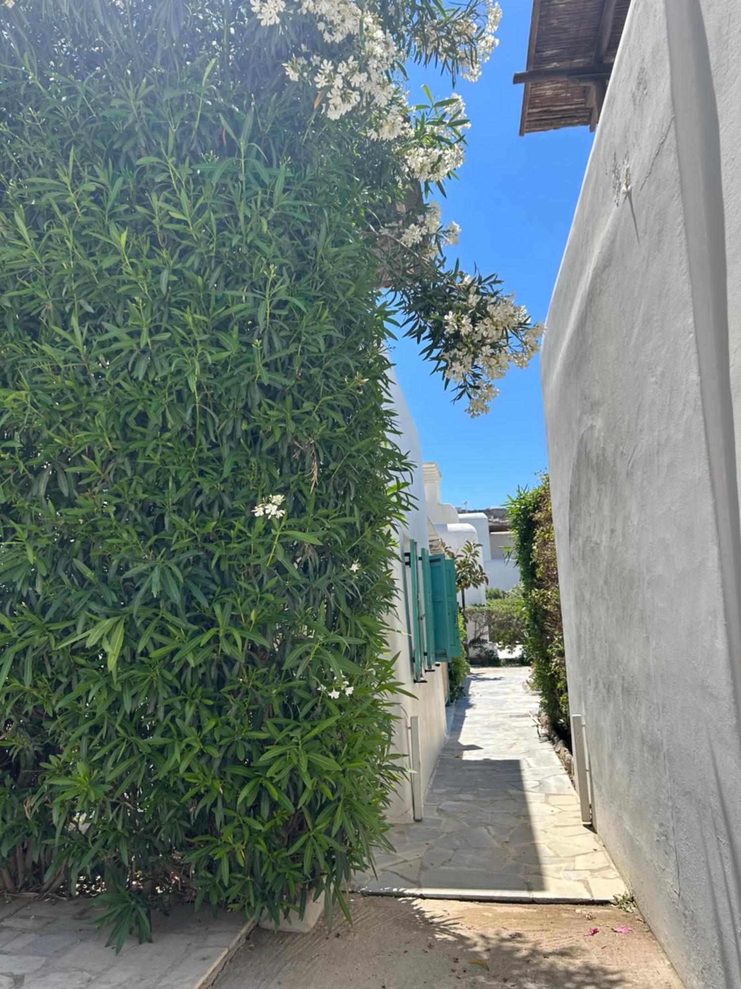 Luxury House With Swimming Pool In Ornos Mykonos Βίλα Εξωτερικό φωτογραφία