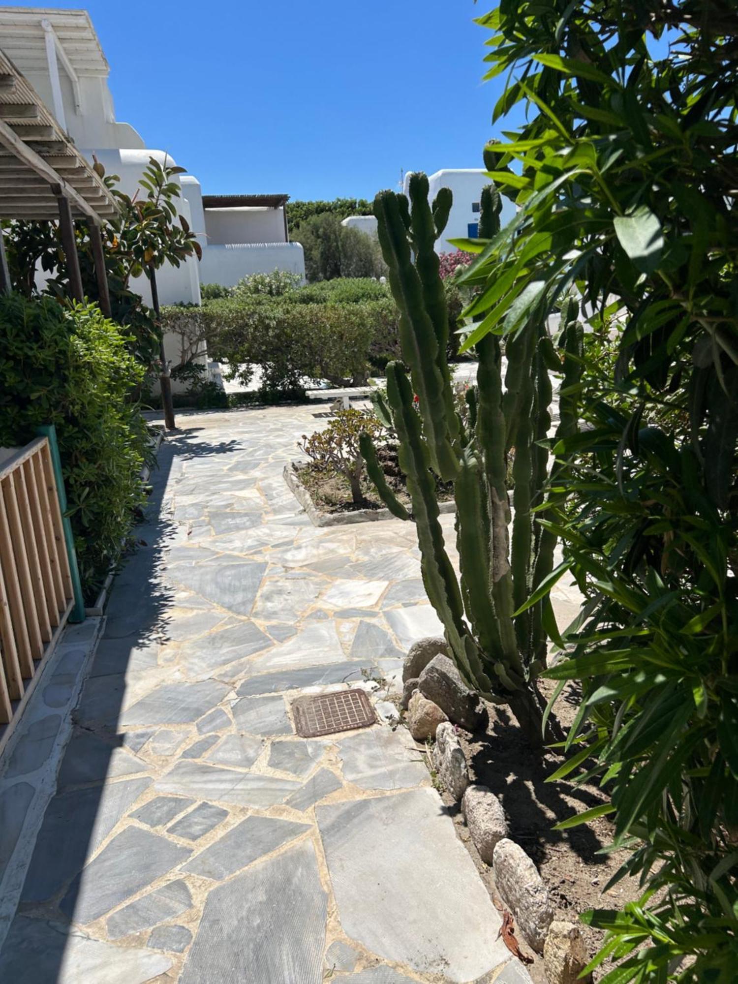 Luxury House With Swimming Pool In Ornos Mykonos Βίλα Εξωτερικό φωτογραφία